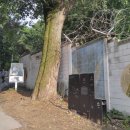 일장천약수터 이미지