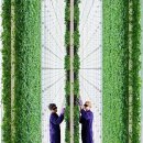 정의농장 이미지