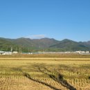 임포비치펜션 이미지