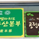 자연나무병원 이미지