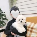 더멍멍 충주점 이미지