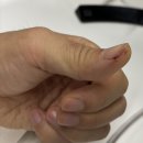 참돔 회뜨다 손구락 날릴뻔 ㅋㅋ 이미지