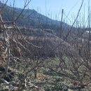 다불촌 독채민박 이미지