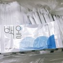 매정제 | 위생의 기본, ‘백올 일매형 업소용 물티슈’ 써본 후기