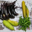 가사농장 이미지