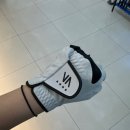 🧤 안스 골프 장갑 후기 – 내 손에 딱 맞는 착붙 그립감! ⛳️