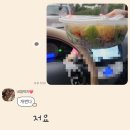 쥬니파스타 이미지