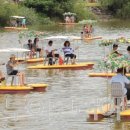 은어축제 문화유적탐방버스 이미지