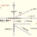 펫로스케어