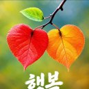 This Little Bird / Graduation Tears /Alone - Heart/Nothing's Gonna Stop Us 이미지