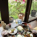 일본 이시가키 맛집 순야반짱 솔직후기(예약방법)