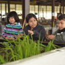 녹색농장 이미지