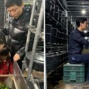 차오름농장 이미지