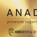 아나덴슈가링왁싱분당정자역점