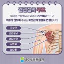 약수부부한의원 네이버블로그