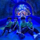 여수아쿠아플라넷 이미지