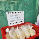 신길온천역 1번출구 이미지