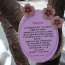 중원동로-1 이미지