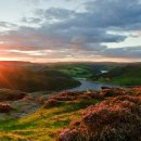 고운선율피아노 이미지