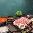 도니조아 이미지