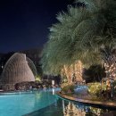 제이비택시(주) | WE:) 2. 결혼준비의 시작1 l 여자가 먼저하는 프로포즈 ㅣ 소소하지만 감동의 눈물파티 ㅣ남친반응 ㅣ...