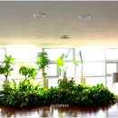 전라남도청 이미지