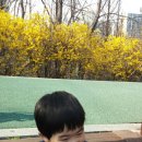 꿈나무몬테소리 어린이집 이미지