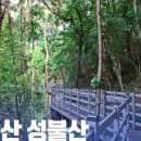 성불산 치유의 숲 이미지