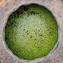 제주 자락 이미지