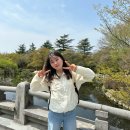 아영경로당 | 1박 2일 경주 뚜벅이 여행 윗 마이 아영(겹벚꽃을 보러 간 우리 )
