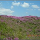 발해목장 이미지