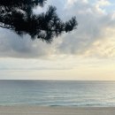 솟대다리 | 강릉 알록달록 방파제 사진 스팟 사근진해변(+솟대 다리는 덤)