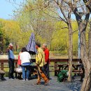 석촌새마을 이미지