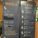 울릉크루즈 노래연습장 | 울릉도여행 포항 영일만항 꿀팁 탑승후기 울릉크루즈 뉴씨다오펄호 4인실