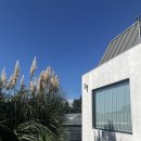 의귀하루 이미지