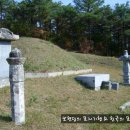 약천정 Daum카페