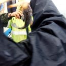 새벽낚시 히트호(2015.6.20/토/11물) 이미지