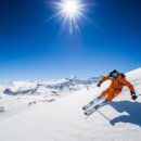 스킨파크