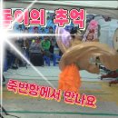 금왕수님 죽변항 해돋이 축제 이미지