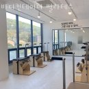 안서동필라테스 동남구 천안시 재활 체형교정 바디컨테이너 필라테스 가격 영업시간 소개