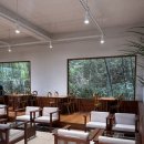 신기커피 | [부산/영도]숲속 감성 카페에서 팬케이크 카페 신기커피영도 후기🌳