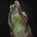 경상남도 사과이용연구소 이미지