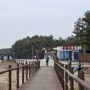 안면도수목원 이미지