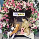 테마프라자 앞 | 먹이주기 체험이 다양한 곳 ｜동탄 아르티스 테마파크 후기