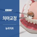 능곡현대의원 네이버블로그