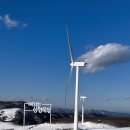 삼포목장 이미지