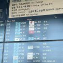 The 뽑기짱 | 이탈리아 로마 ① | 트레비 분수 오픈런, 콜로세움 투어, Iari The Vino, Piccolo Buco
