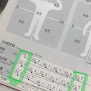 로아필라테스앤피티