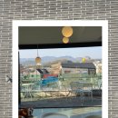 수원시 팔달구 창룡대로74번길 이미지