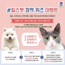 [힐스펫] 인스타그램 퀴즈 이벤트(~5/21) 이미지